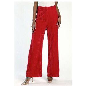 Lulus Taking the Reigns Red Crushed Velvet Pants Size M
High-Waisted Wide Leg